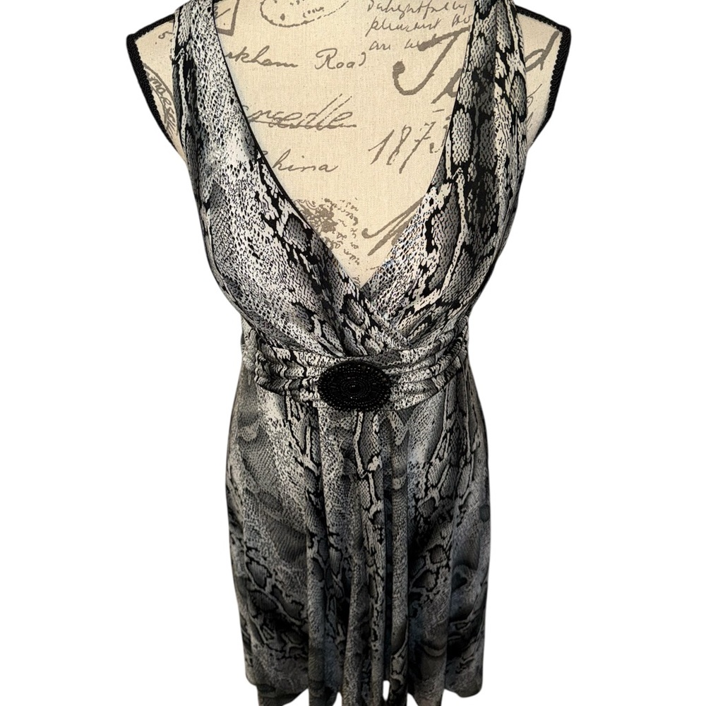 Star Vixen Dress